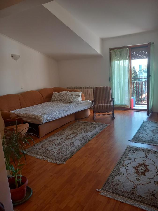 Cosy Rooftop Studio With Balcony Belgrade Extérieur photo